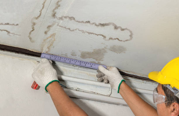 Reliable Emergency Water Damage Restoration contractor in Jonesville, VA by Water Damage Irwin